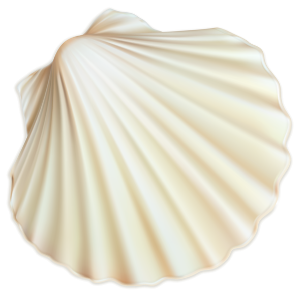 This png image - White Sea Shell PNG Clipart Image, is available for free download