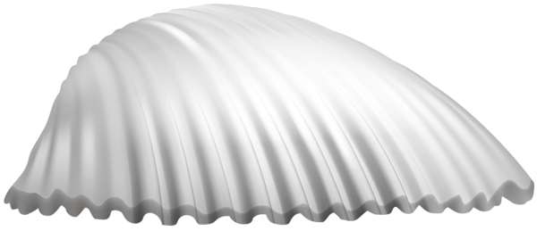 This png image - White Shell PNG Clip Art Image, is available for free download