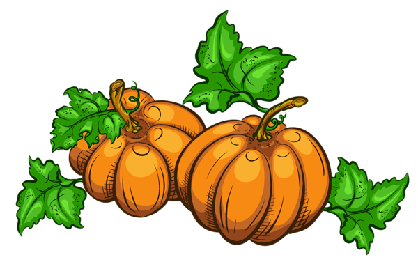 This png image - Transparent Pumpkins PNG Clipart Picture, is available for free download