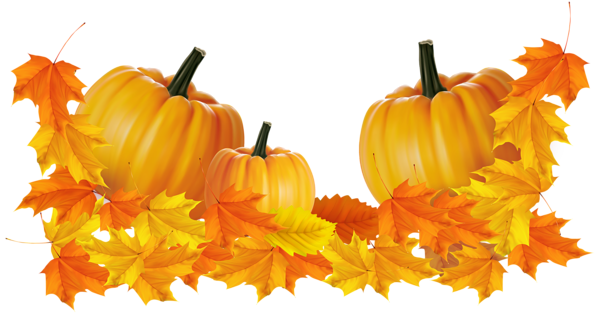 This png image - Transparent Thanksgiving Pumpkin Decor Clipart, is available for free download