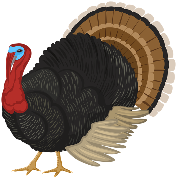 This png image - Turkey PNG Clipart, is available for free download