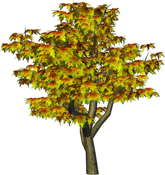 This png image - Autumn Tree PNG Tree Clipart, is available for free download