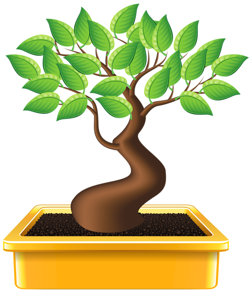 This png image - Bonsai PNG Clipart Image, is available for free download