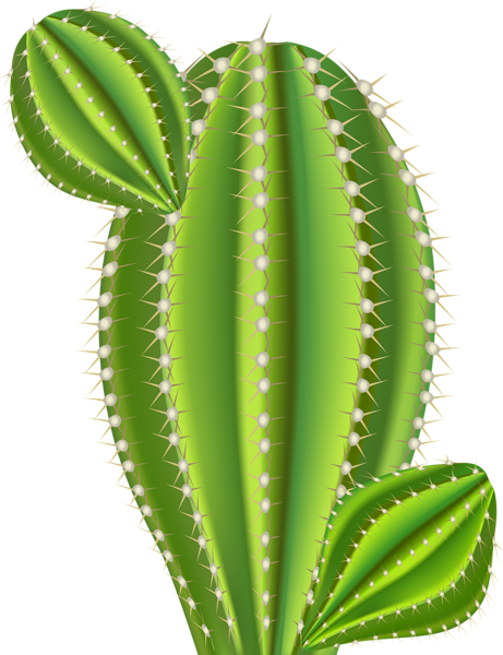 This png image - Cactus Clip Art Image, is available for free download