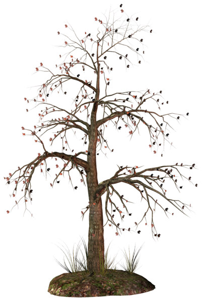 This png image - Dead Tree PNG Clipart, is available for free download