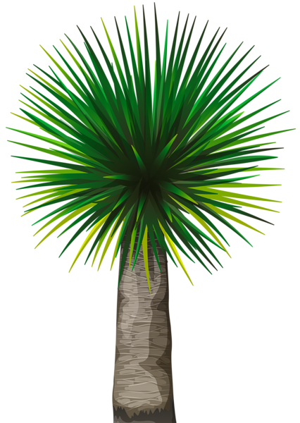 This png image - Exotic Palm Tree PNG Clip Art Image, is available for free download