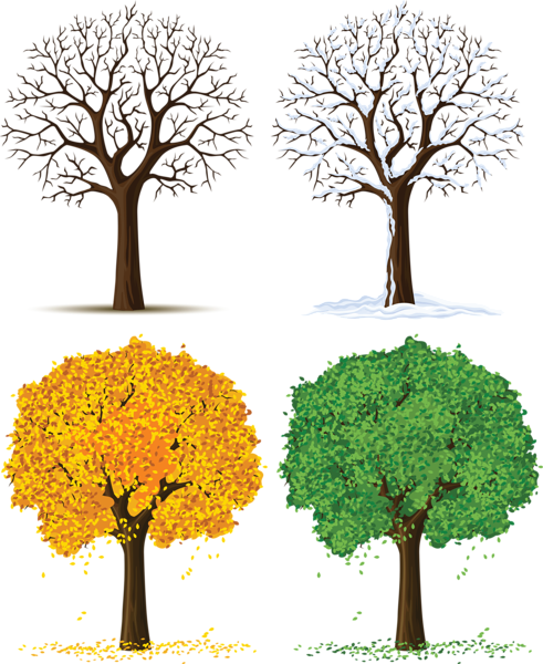 This png image - Four Seasons Trees PNG Clipart, is available for free download