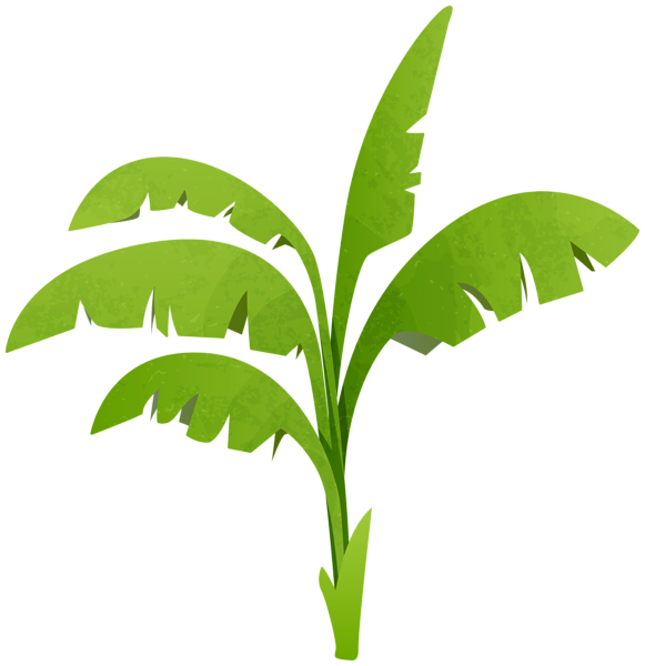 This png image - Green Plant Transparent PNG Clip Art Image, is available for free download