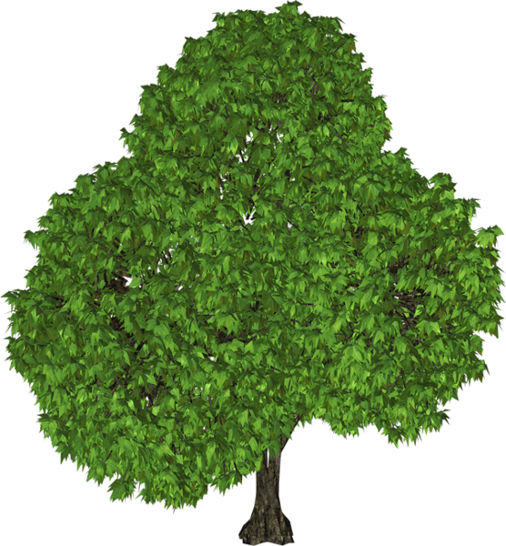 This png image - Green Tree PNG Clipart, is available for free download