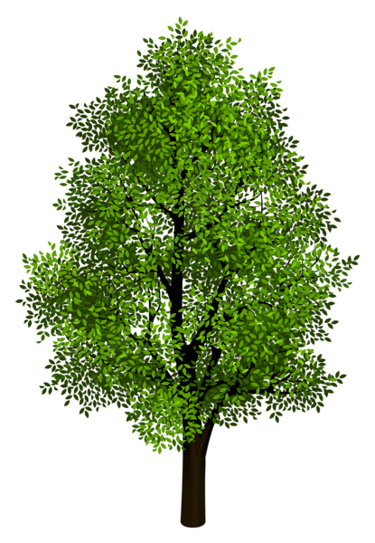 This png image - Green Tree Transparent Clipart Picture, is available for free download