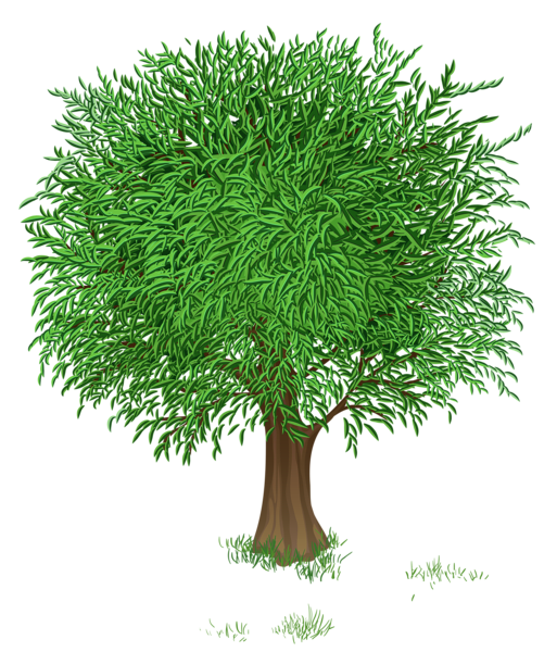This png image - Green Tree Transparent PNG Clipart Picture, is available for free download