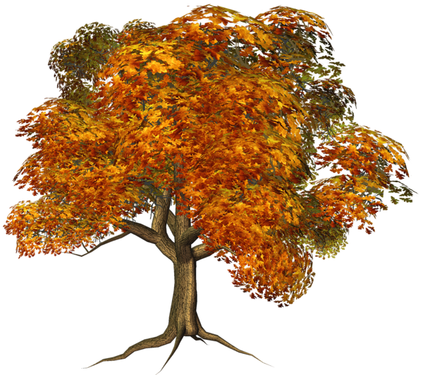 This png image - Large Fall Tree Clipart, is available for free download