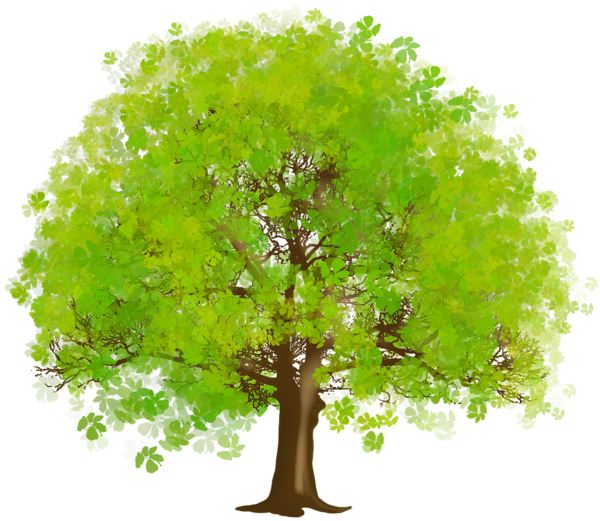 This png image - Large Green Tree PNG Clipart, is available for free download