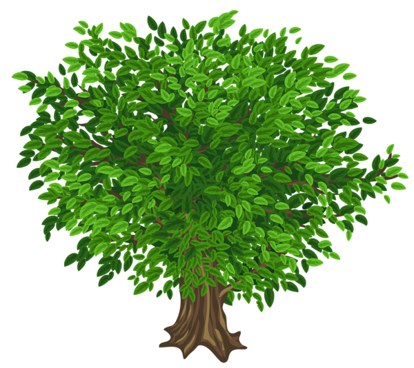 This png image - Large Green Tree Transparent PNG Clipart Picture, is available for free download