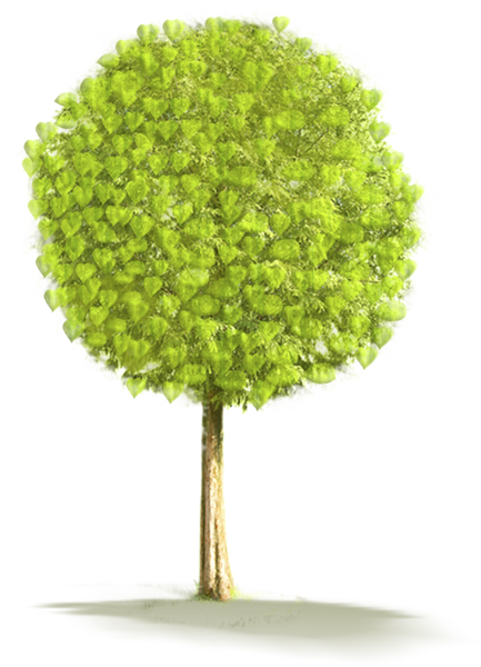 This png image - Large Tree PNG Clipart, is available for free download