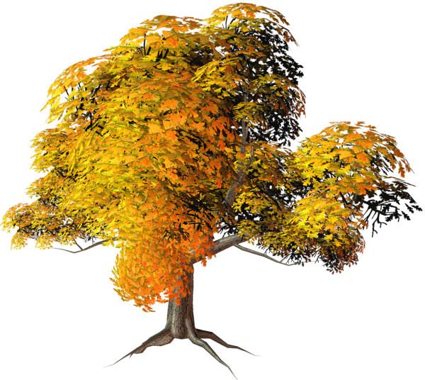 This png image - Large Yellow Fall Tree PNG Clipart, is available for free download
