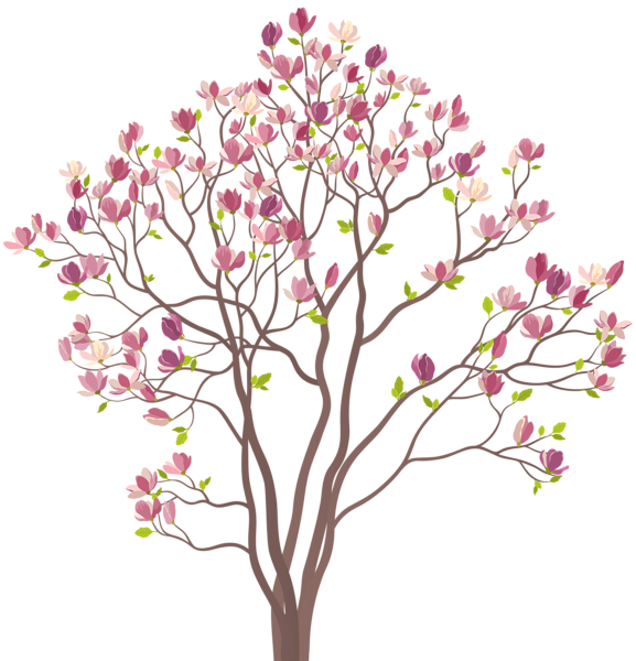 This png image - Mmagnolia Tree PNG Clip Art Image, is available for free download