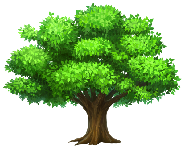 This png image - Oack Tree PNG Clipart Picture, is available for free download