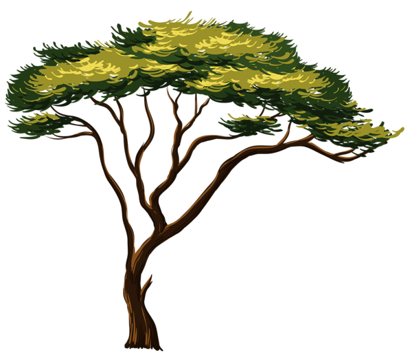 This png image - Painted African Tree PNG Clipart Picture, is available for free download