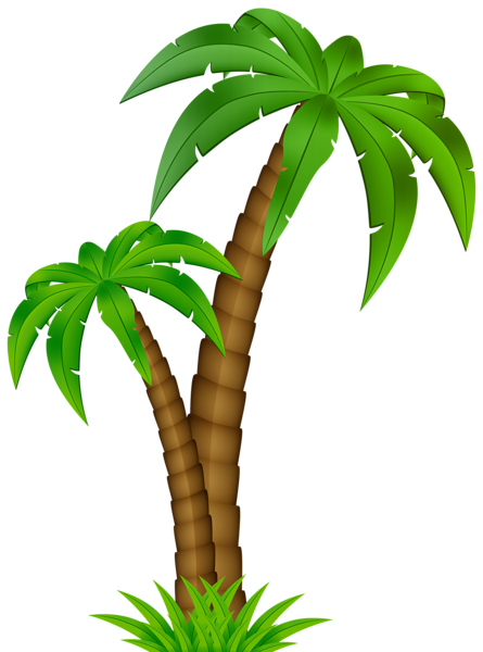 This png image - Palm Cartoon PNG Clip Art Image, is available for free download