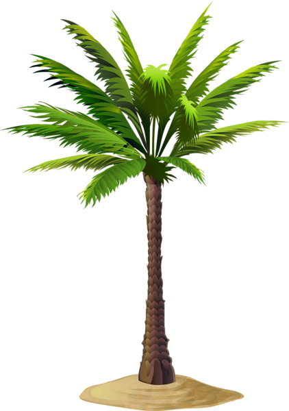 This png image - Palm Free PNG Clip Art Image, is available for free download