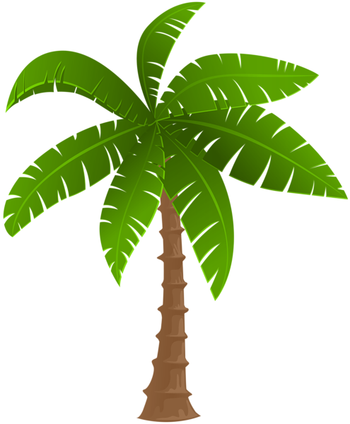 This png image - Palm PNG Clipart, is available for free download