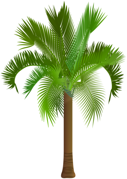 This png image - Palm Tree Clip Art PNG Image, is available for free download