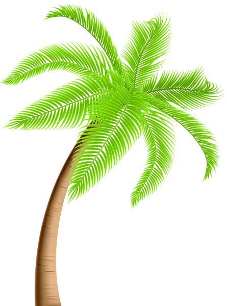 This png image - Palm Tree PNG Clip Art, is available for free download