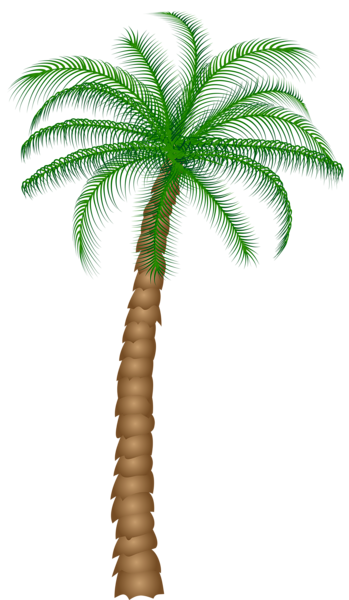 This png image - Palm Tree PNG Clipart, is available for free download
