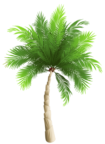 This png image - Palm Tree PNG Clipart Image, is available for free download