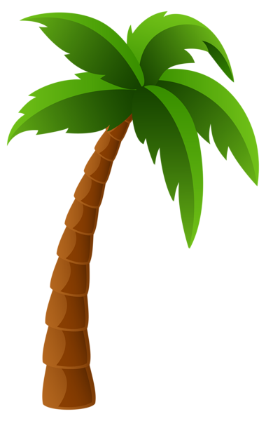 This png image - Palm Tree PNG Image Clipart, is available for free download