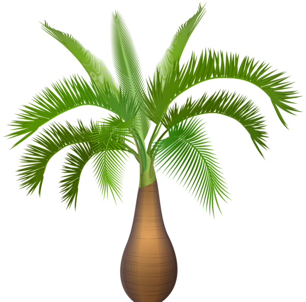 This png image - Palm Tree Plant PNG Clip Art Image, is available for free download