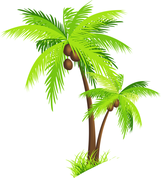 This png image - Palm Tree with Coconuts PNG Clipart Picture, is available for free download