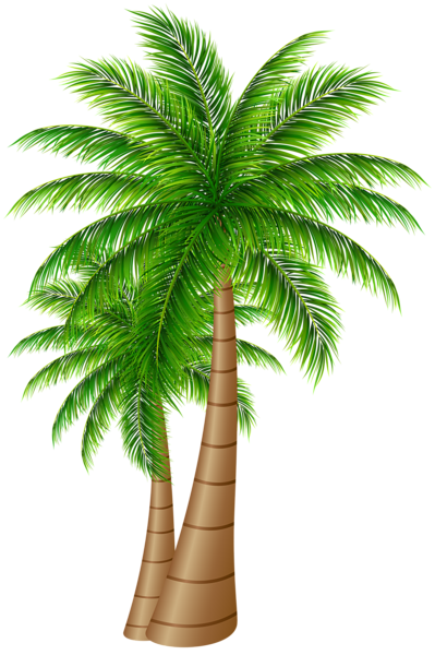 This png image - Palm Trees Large PNG Clip Art Image, is available for free download