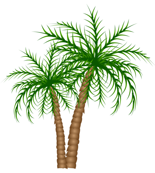 This png image - Palm Trees PNG Clipart Picture, is available for free download