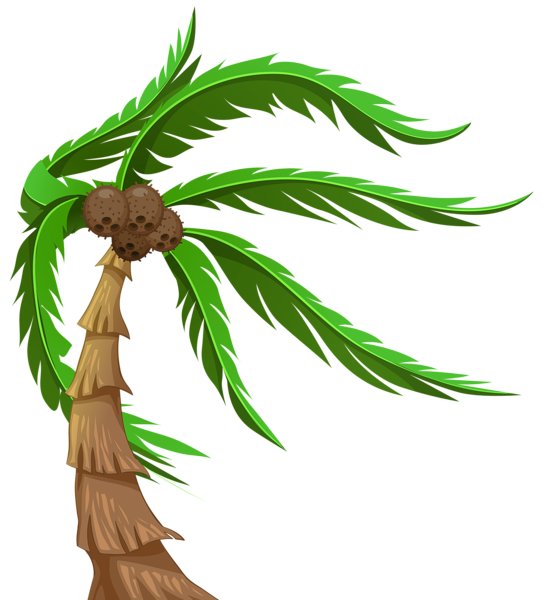 This png image - Palm with Coconuts Transparent PNG Clip Art Image, is available for free download