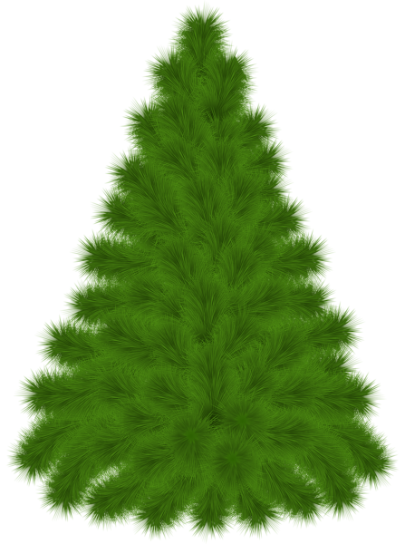 This png image - Pine Tree PNG Clipart Picture, is available for free download