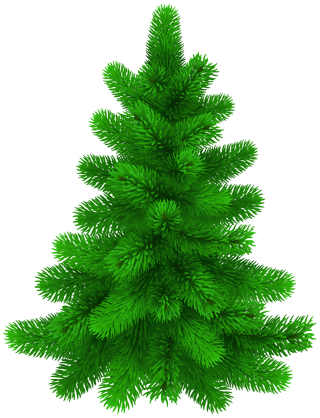 This png image - Pine Tree PNG Transparent Clipart, is available for free download