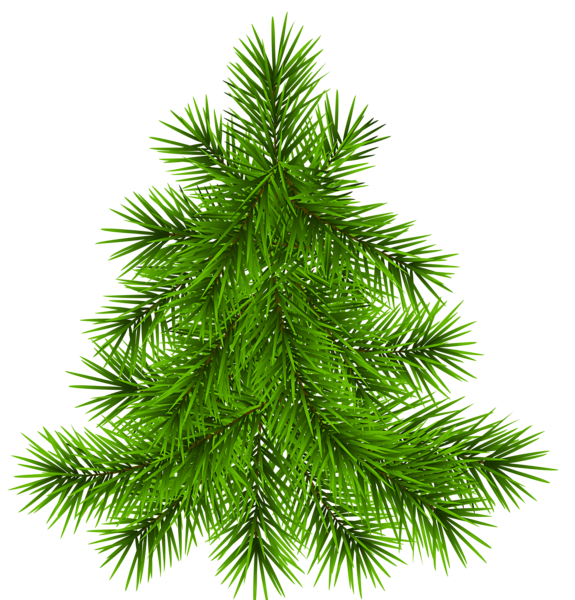 This png image - Pine Tree Transparent Picture, is available for free download