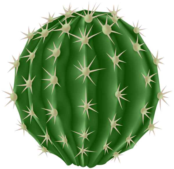 This png image - Round Cactus PNG Clipart, is available for free download