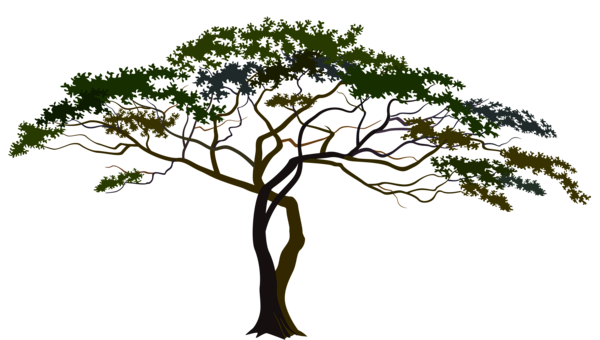 This png image - Savannah Tree PNG Clipart Image, is available for free download