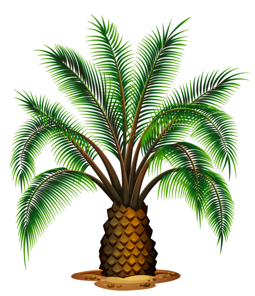 This png image - Small Palm Tree Transparent Picture, is available for free download