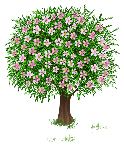 This png image - Spring Tree Transparent PNG Clipart Picture, is available for free download