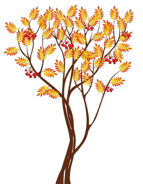 This png image - Transparent Autumn Tree PNG Clipart Image, is available for free download
