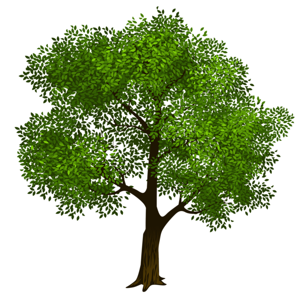This png image - Transparent Green Tree Clipart Picture, is available for free download