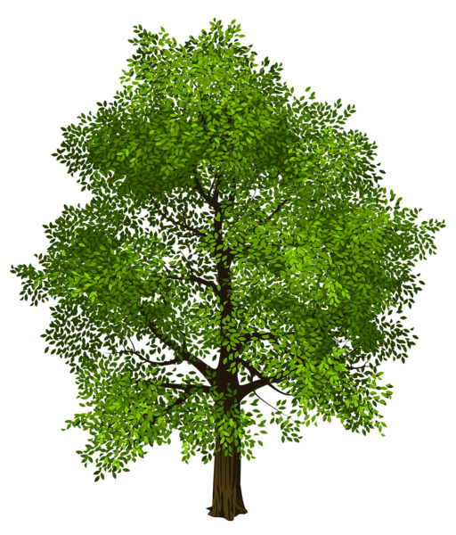 This png image - Transparent Green Tree PNG Picture, is available for free download