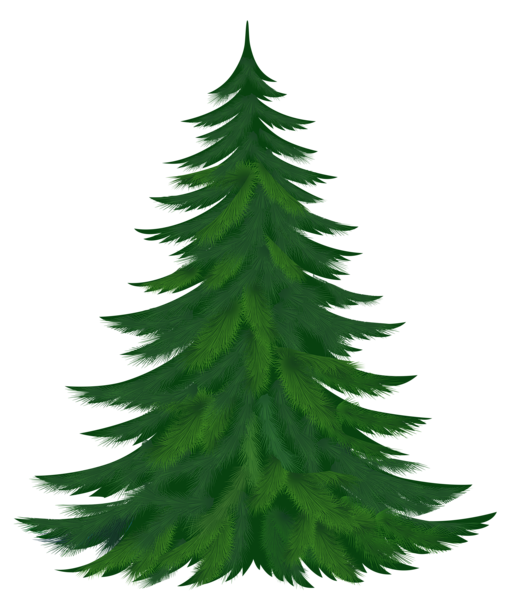 This png image - Transparent Pine Tree PNG Picture, is available for free download