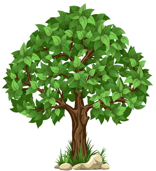 This png image - Transparent Tree PNG Clipart Picture, is available for free download