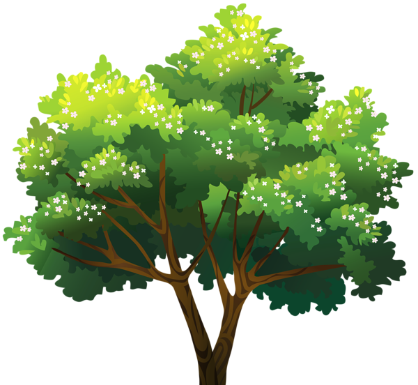 This png image - Tree Green PNG Clip Art, is available for free download
