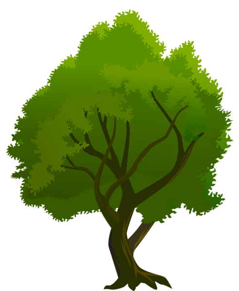This png image - Tree Green PNG Clipart, is available for free download